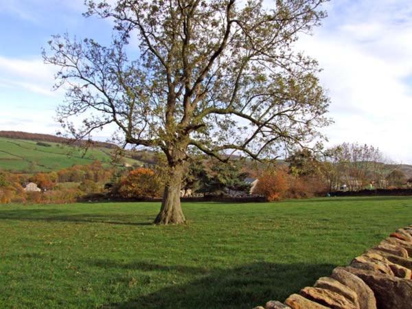 Stoneycroft Barn Vila Langsett Exterior foto